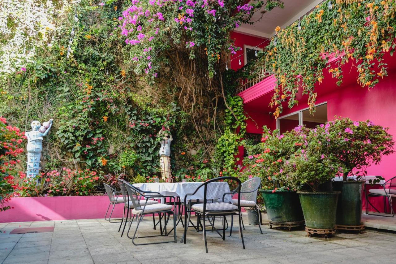 Oaxaca Casa De Las Bugambilias B&B מראה חיצוני תמונה