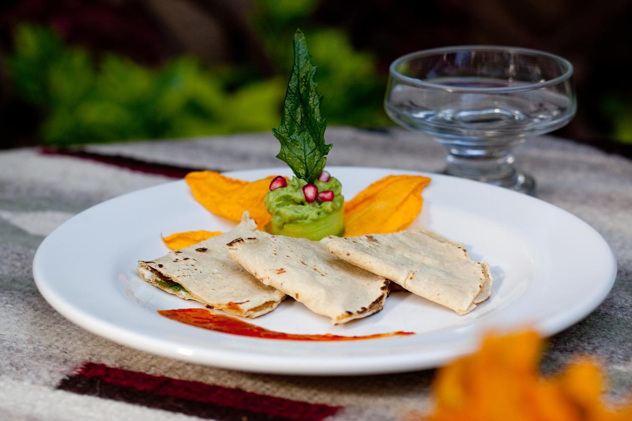 Oaxaca Casa De Las Bugambilias B&B מראה חיצוני תמונה